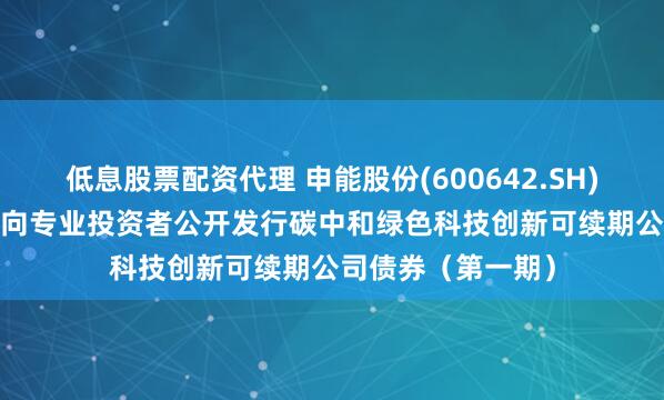 低息股票配资代理 申能股份(600642.SH)：完成2025年面向专业投资者公开发行碳中和绿色科技创新可续期公司债券（第一期）