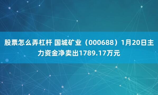 股票怎么弄杠杆 国城矿业（000688）1月20日主力资金净卖出1789.17万元